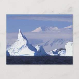 Antarctica, Boothe Island, Afternoon sun Postcard