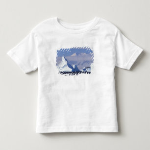 Antarctica, Boothe Island, Afternoon sun Toddler T-Shirt