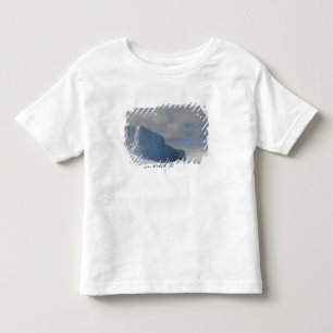 Antarctica, Bransfield Strait, Afternoon sun 2 Toddler T-Shirt