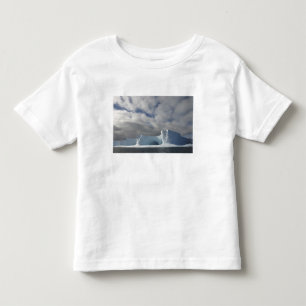 Antarctica, Bransfield Strait, Afternoon sun Toddler T-Shirt