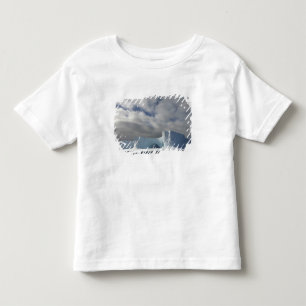 Antarctica, Bransfield Strait, Afternoon sun Toddler T-Shirt