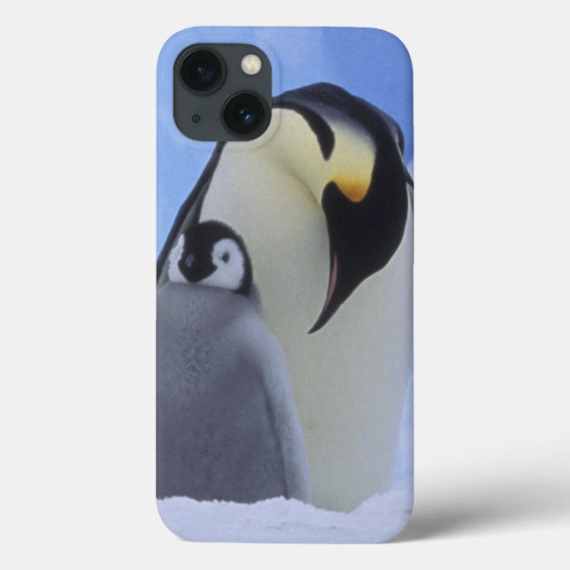 Antarctica. Emperor penguins and chick Case-Mate iPhone Case (Back)