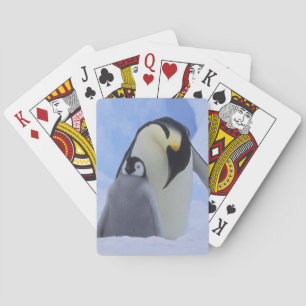 Antarctica. Emperor penguins and chick Playing Cards