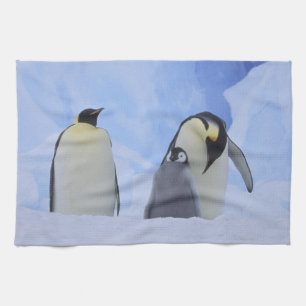 Antarctica. Emperor penguins and chick Tea Towel
