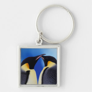 Antarctica, Emperor Penguins Key Ring