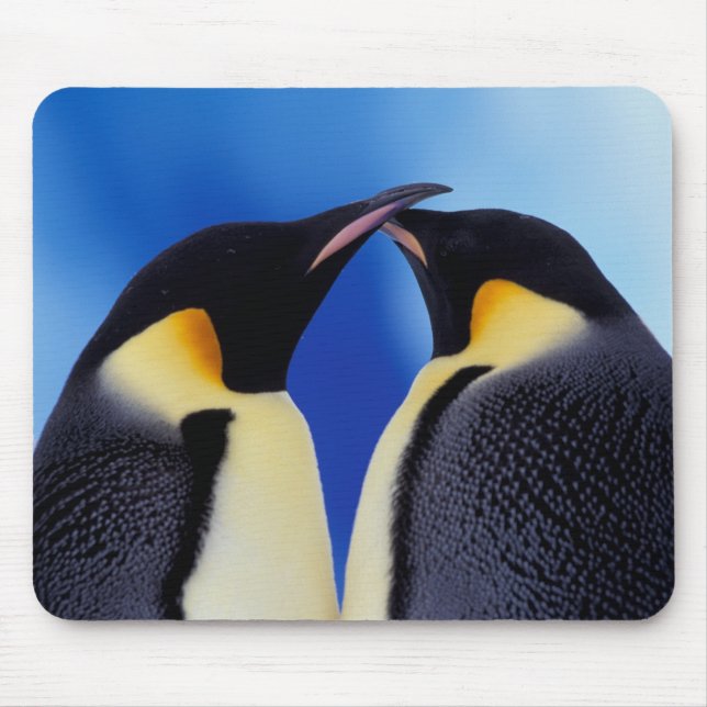 Antarctica, Emperor Penguins Mouse Pad (Front)