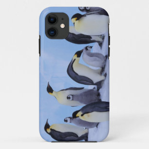 Antarctica, Emporer Penguins iPhone 11 Case