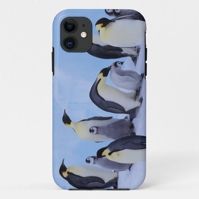 Antarctica, Emporer Penguins Case-Mate iPhone Case (Back)