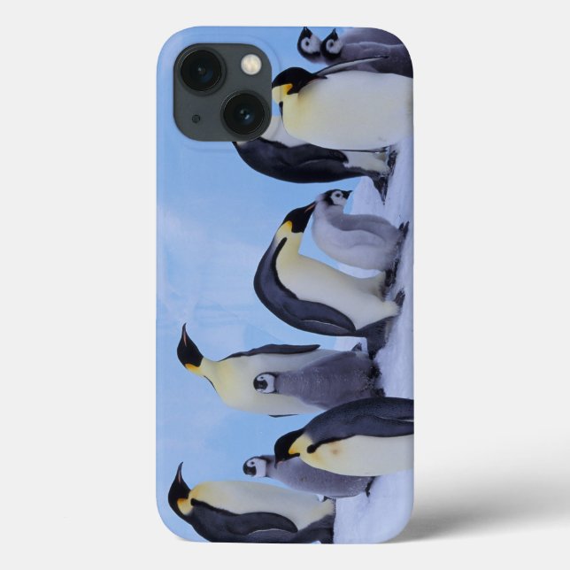 Antarctica, Emporer Penguins Case-Mate iPhone Case (Back)