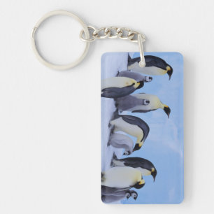 Antarctica, Emporer Penguins Key Ring