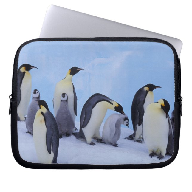 Antarctica, Emporer Penguins Laptop Sleeve (Front)