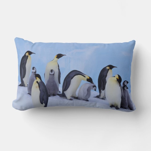Antarctica, Emporer Penguins Lumbar Cushion (Front)