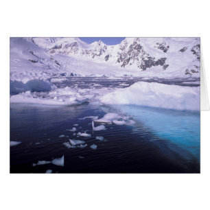 Antarctica. Expedition through icescapes
