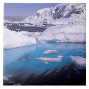 Antarctica. Expedition through icescapes 2 Ceramic Tile