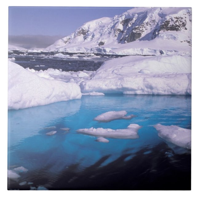 Antarctica. Expedition through icescapes 2 Ceramic Tile (Front)