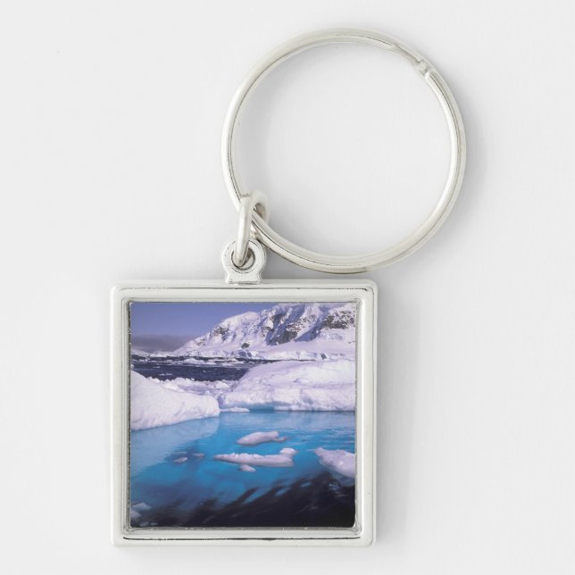 Antarctica. Expedition through icescapes 2 Key Ring (Front)