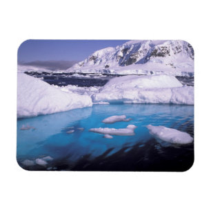 Antarctica. Expedition through icescapes 2 Magnet