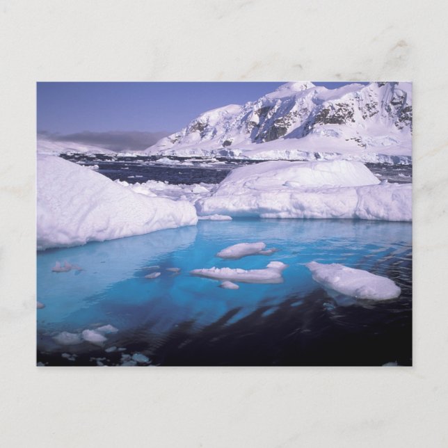 Antarctica. Expedition through icescapes 2 Postcard (Front)