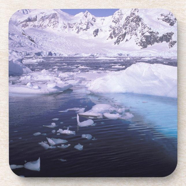 Antarctica. Expedition through icescapes Coaster (Front)