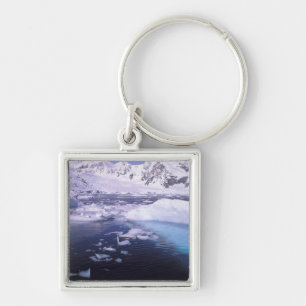 Antarctica. Expedition through icescapes Key Ring
