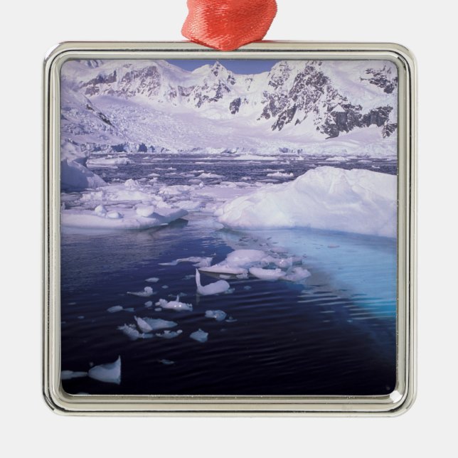 Antarctica. Expedition through icescapes Metal Tree Decoration (Front)