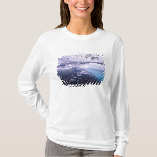 Antarctica. Expedition through icescapes T-Shirt