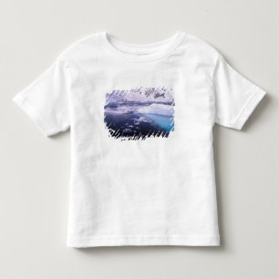Antarctica. Expedition through icescapes Toddler T-Shirt