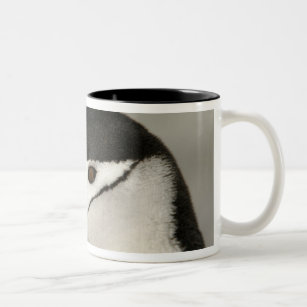 Antarctica, Half Moon Island. Close-up of adult Two-Tone Coffee Mug