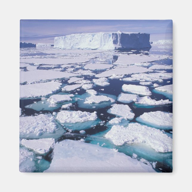 Antarctica, Ice flow. Magnet (Front)