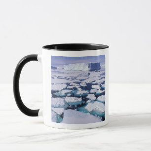 Antarctica, Ice flow. Mug