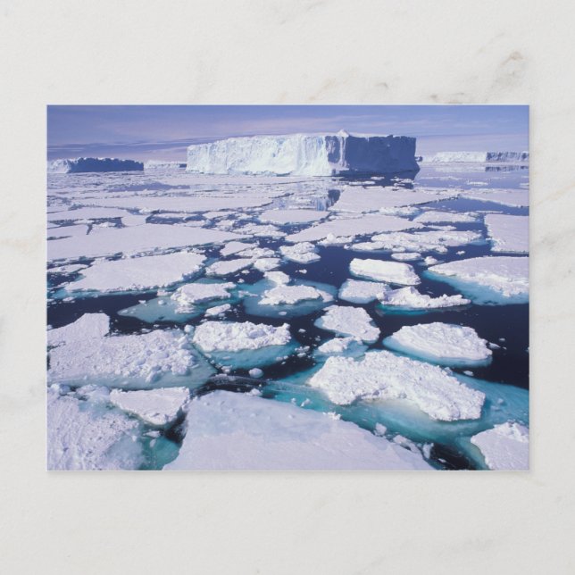 Antarctica, Ice flow. Postcard (Front)