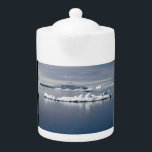 Antarctica landscape<br><div class="desc">Great landscape in Antarctica with floating ice.
©Angelika Stern</div>