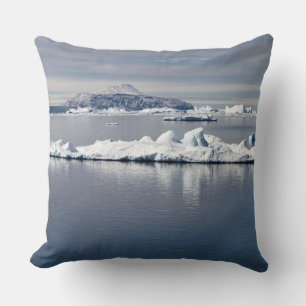 Antarctica landscape cushion