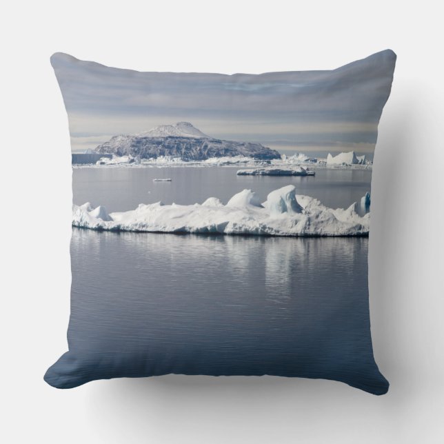 Antarctica landscape cushion (Front)