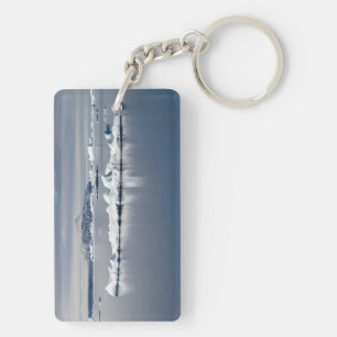 Antarctica landscape key ring