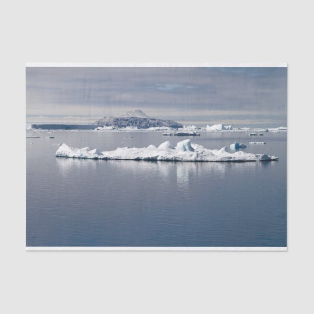 Antarctica landscape tissue paper (Front)