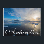 Antarctica. Near Adelaide Island. The Gullet 2 Postcard<br><div class="desc">Antarctica. Near Adelaide Island. The Gullet. Ice floes at sunset. | Inger Hogstrom / superstock.com</div>