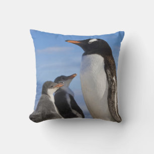 Antarctica, Neko Cove (Harbour). Gentoo penguin 2 Cushion