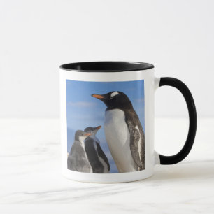 Antarctica, Neko Cove (Harbour). Gentoo penguin 2 Mug