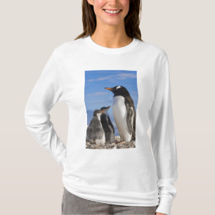 Antarctica, Neko Cove (Harbour). Gentoo penguin 2 T-Shirt