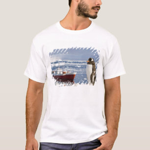 Antarctica, Neko Cove (Harbour). Gentoo penguin T-Shirt