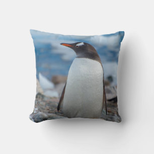 Antarctica. Neko Harbour. Gentoo Penguin Cushion