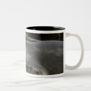 Antarctica, Nelson Island. Southern Furl seal Two-Tone Coffee Mug