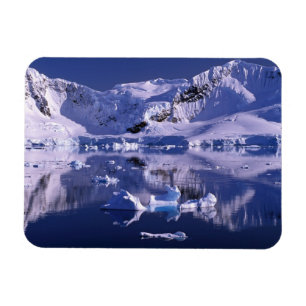 Antarctica, Paradise Bay Magnet