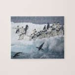 Antarctica, Paulet Island. Adelie penguins Jigsaw Puzzle<br><div class="desc">COPYRIGHT Arthur Morris / Jaynes Gallery / SuperStock.com | AN02 BJA0005.jpg | Antarctica,  Paulet Island. Adelie penguins leaping off iceberg into ocean. Credit as: Arthur Morris / Jaynes Gallery / SuperStock.com</div>