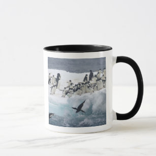 Antarctica, Paulet Island. Adelie penguins Mug