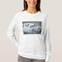 Antarctica, Paulet Island. Adelie penguins