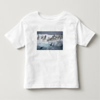 Antarctica, Paulet Island. Adelie penguins