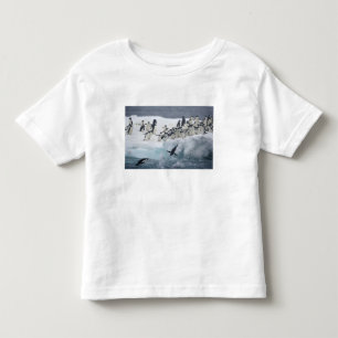 Antarctica, Paulet Island. Adelie penguins Toddler T-Shirt