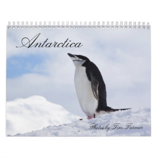 Antarctica Penguins Calendar